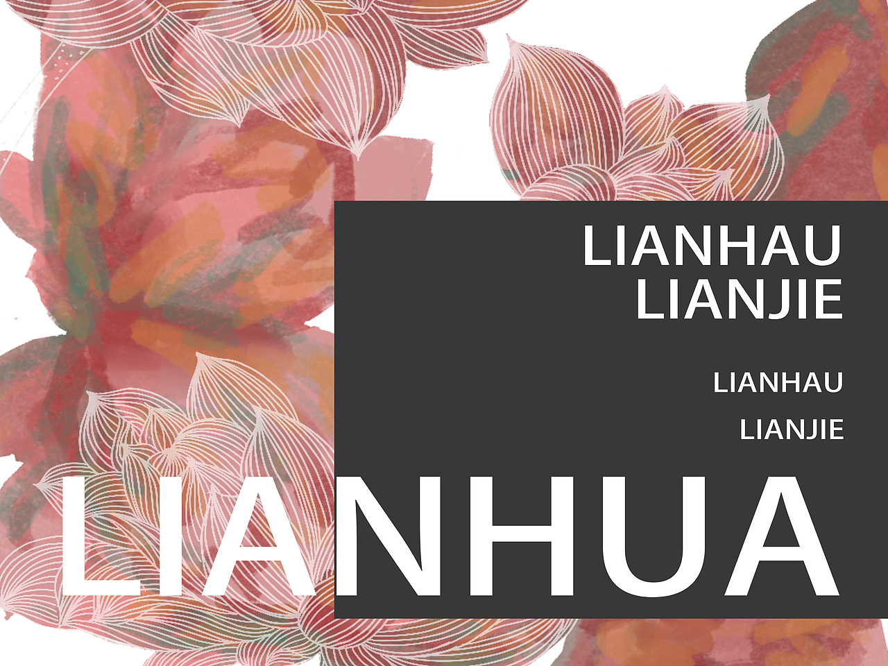 荷花/莲花包装海报/贴图