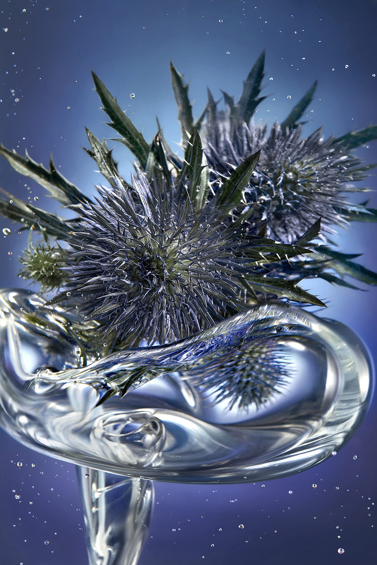 花海幻镜｜视觉探索（图ZMzU2MDM1NzA0） - 产品摄影 - 站酷设计师快门先生商业摄影原创素材 - 站酷ZCOOL