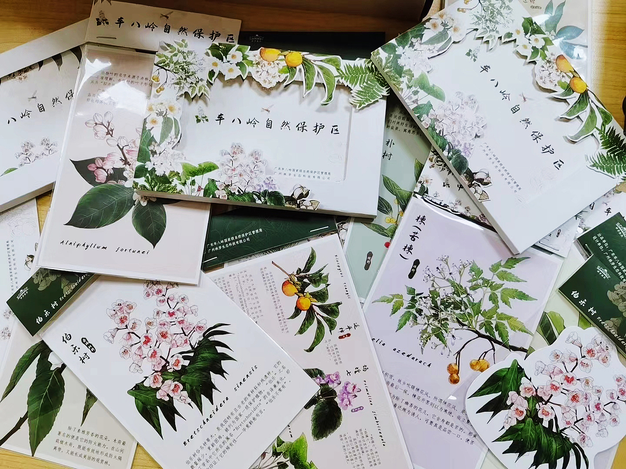 插画文创周边——植物篇（图ZMzAzNzMwMzQ0） - 品牌 - 站酷设计师懒九五原创素材 - 站酷ZCOOL
