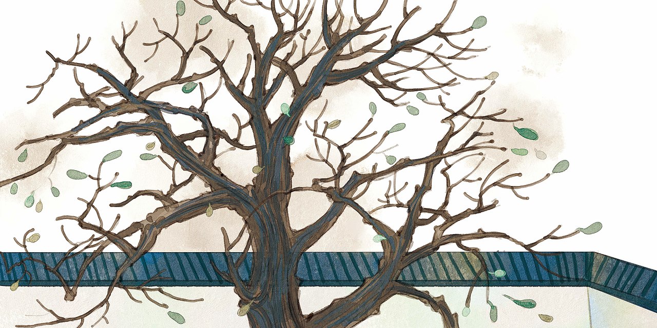 绘本 紫荆树 废稿（图ZMzY3NDYxMjI0） - 儿童插画 - 站酷设计师瑶背背原创素材 - 站酷ZCOOL