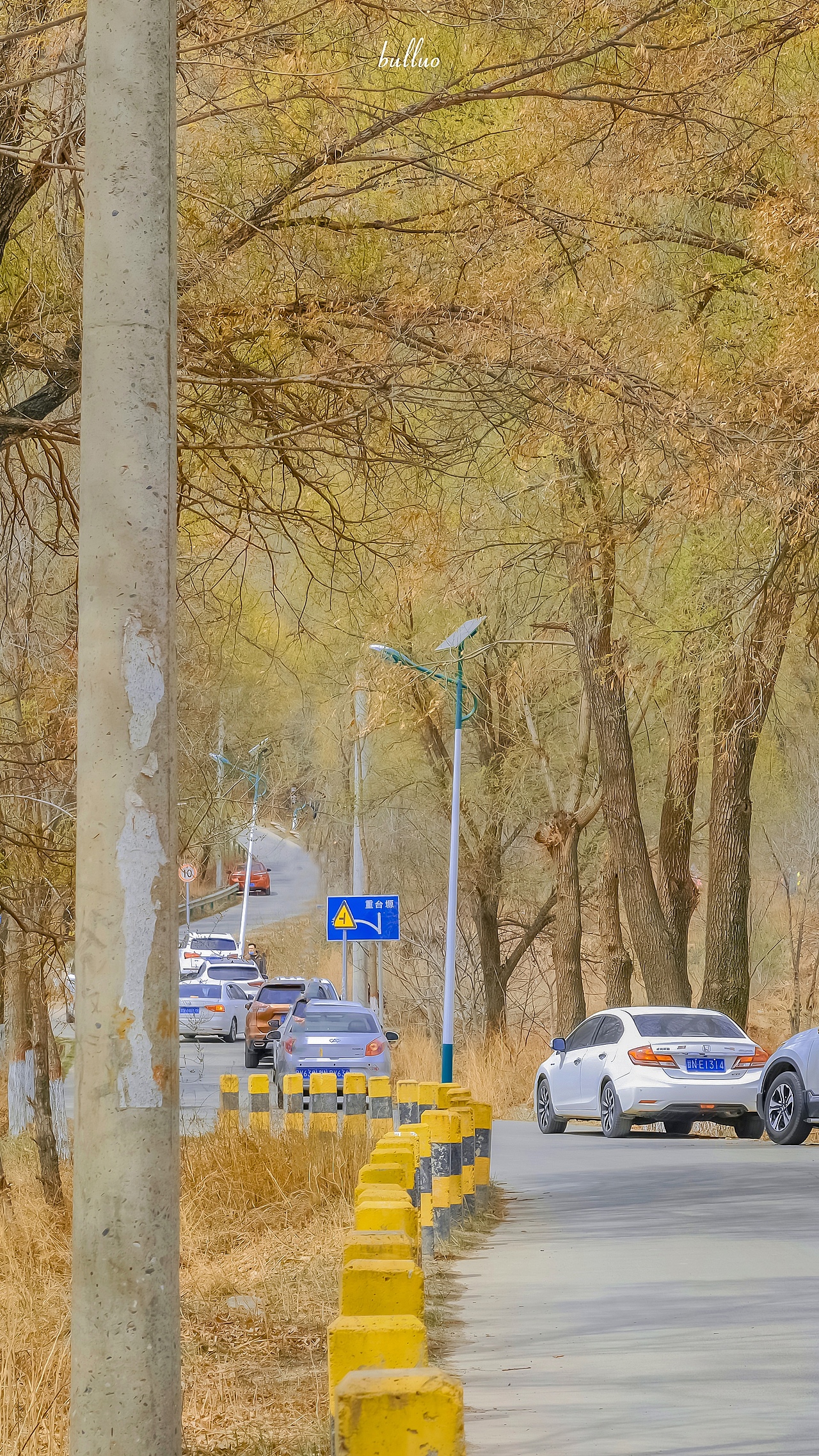 手机摄影作品5（图ZMjk5NzEwMjUy） - 风光摄影 - 站酷设计师限时救援原创素材 - 站酷ZCOOL