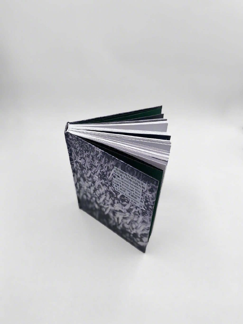 《曼彻斯特与英伦摇滚:在倾盆大雨中寻找光明》