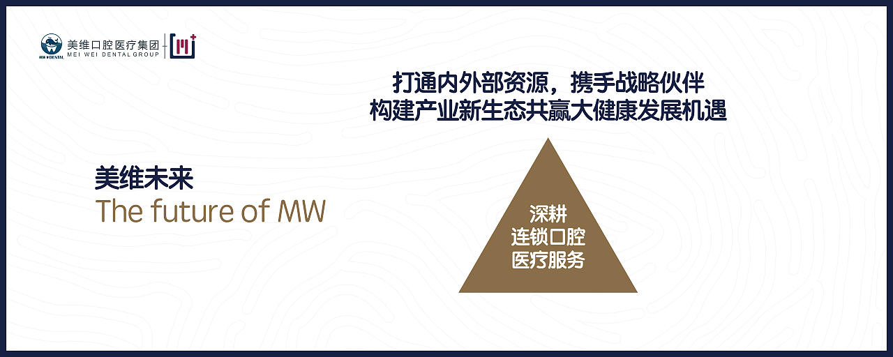 美维口腔医疗集团上市PPT