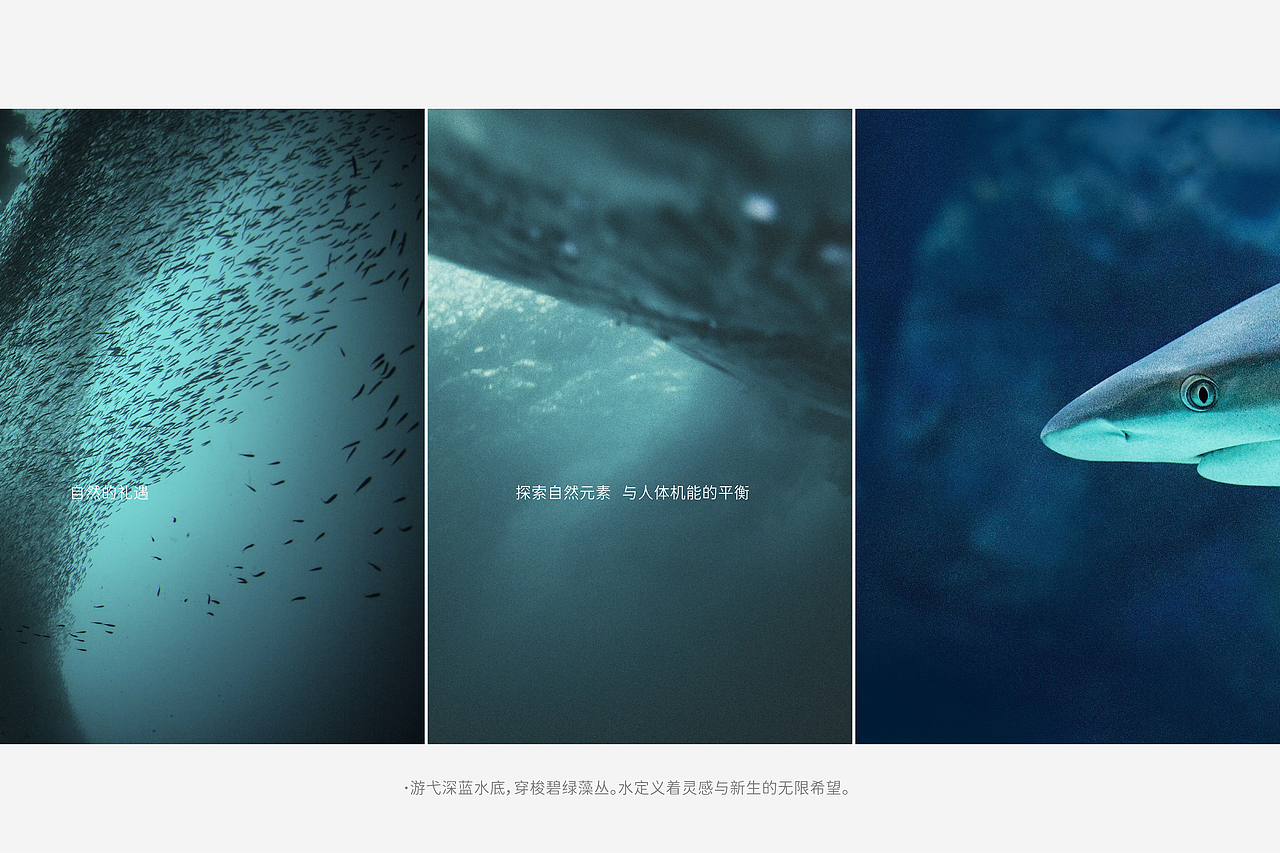 roiphem 洗护品牌logo设计\洗护品牌包装设计\品牌升级(图ZMzE4NjQxMjAw) - 包装 - 站酷设计师YANDESIGN颜娜原创素材 - 站酷ZCOOL