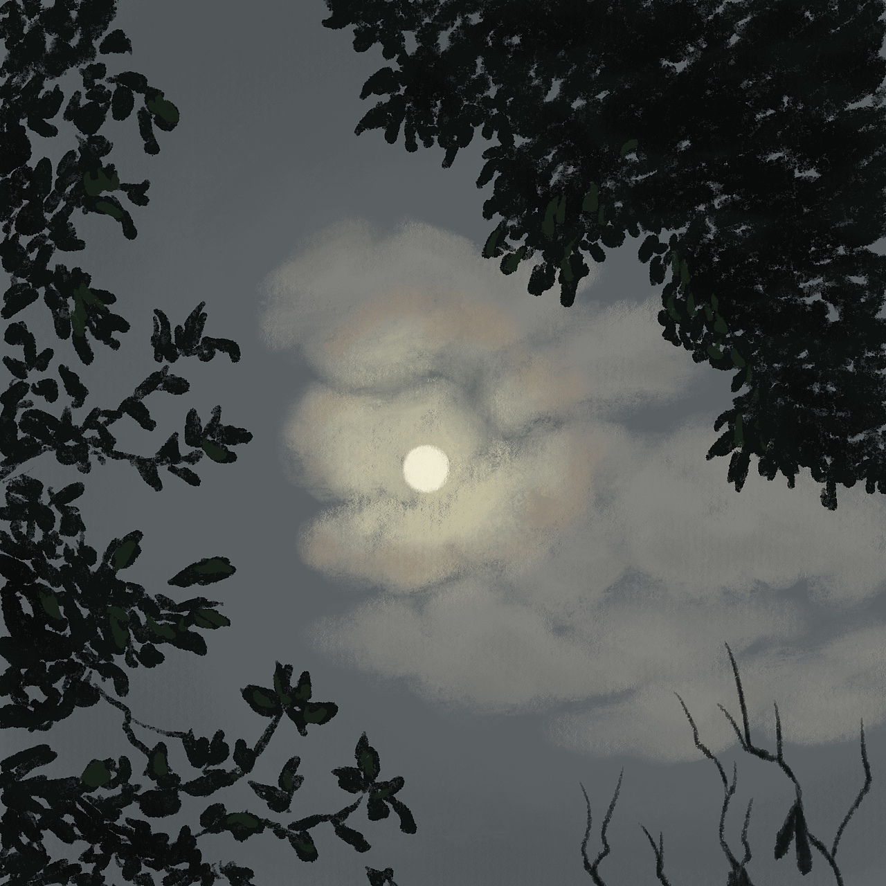 月娘总是照着我们