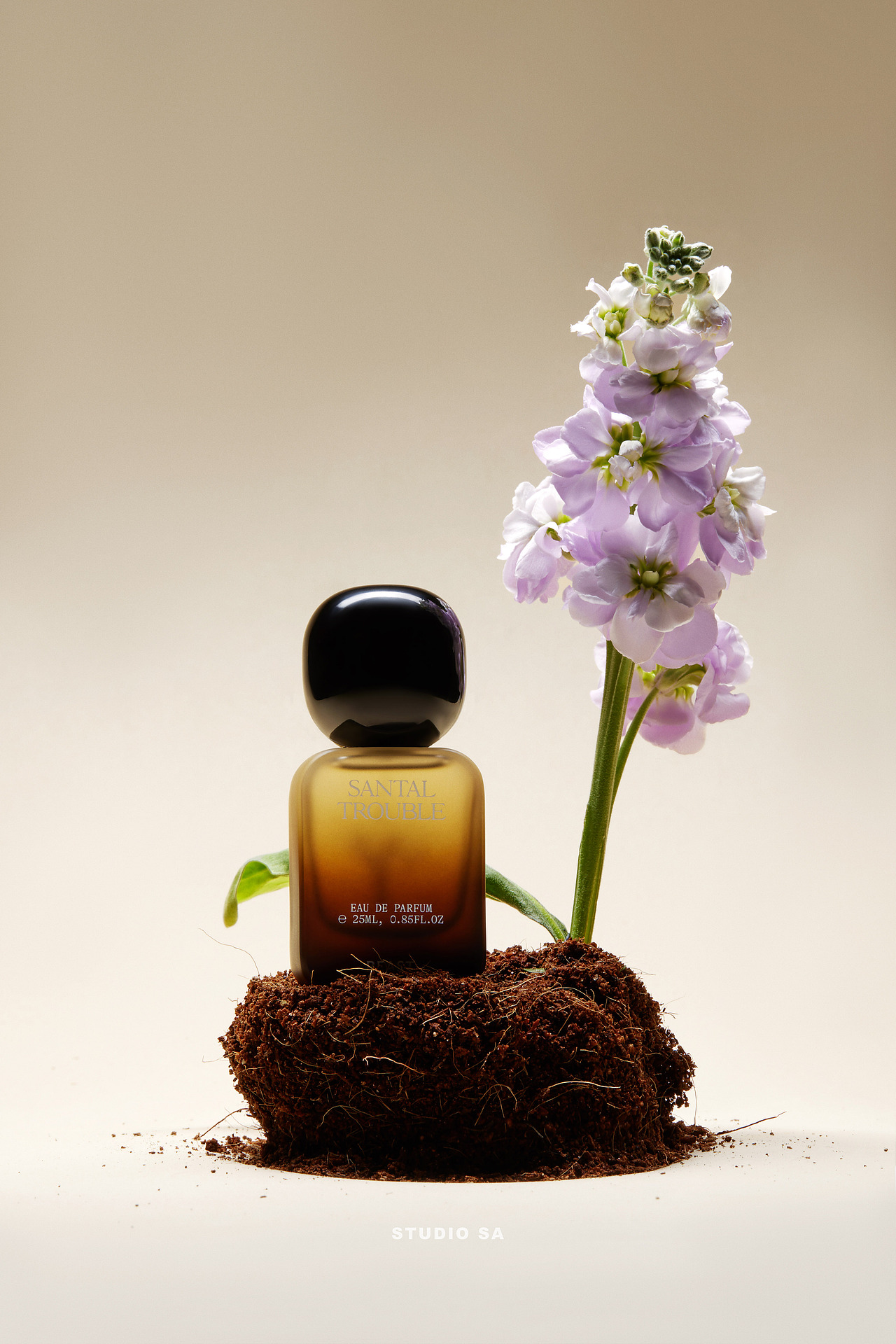 野兽派|无忌之檀