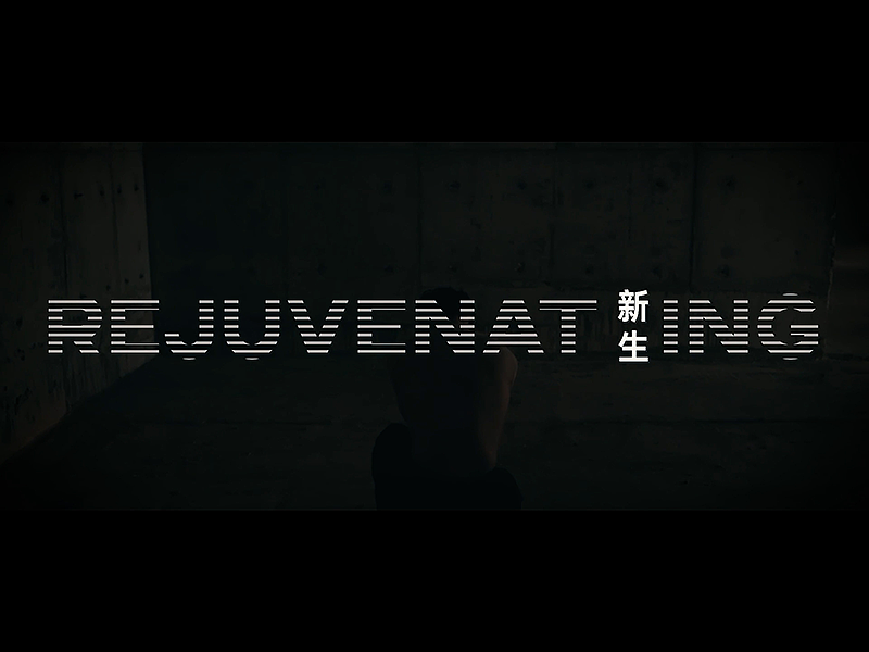 人生斯世 绽放芳华——保利水木芳华