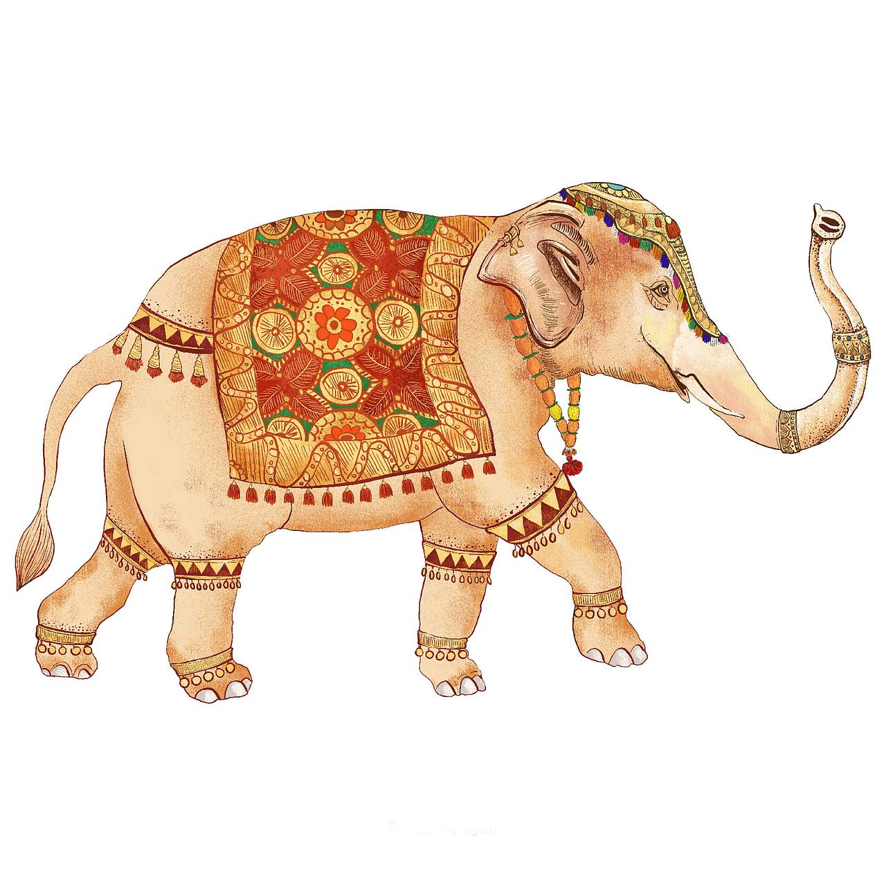 大米包装插画设计