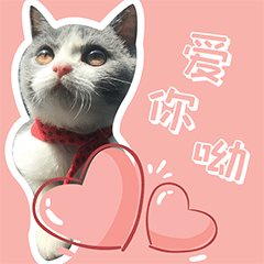 叮当的单身生活（图ZMzEyODE1MTU2） - 网络表情 - 站酷设计师runningPP原创素材 - 站酷ZCOOL