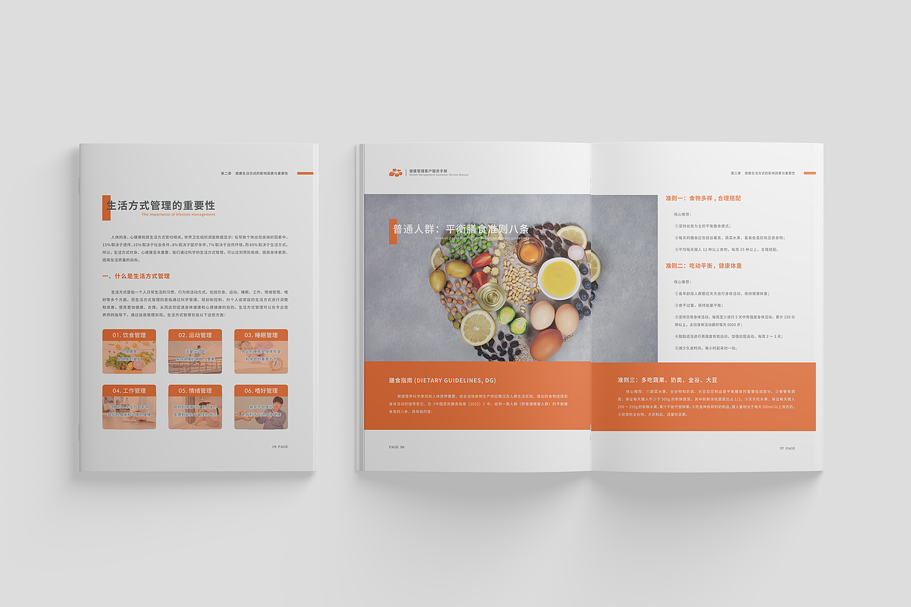 过往一些手册排版（图ZMzU1NTI4MjM2） - 宣传物料 - 站酷设计师暮云清歌原创素材 - 站酷ZCOOL