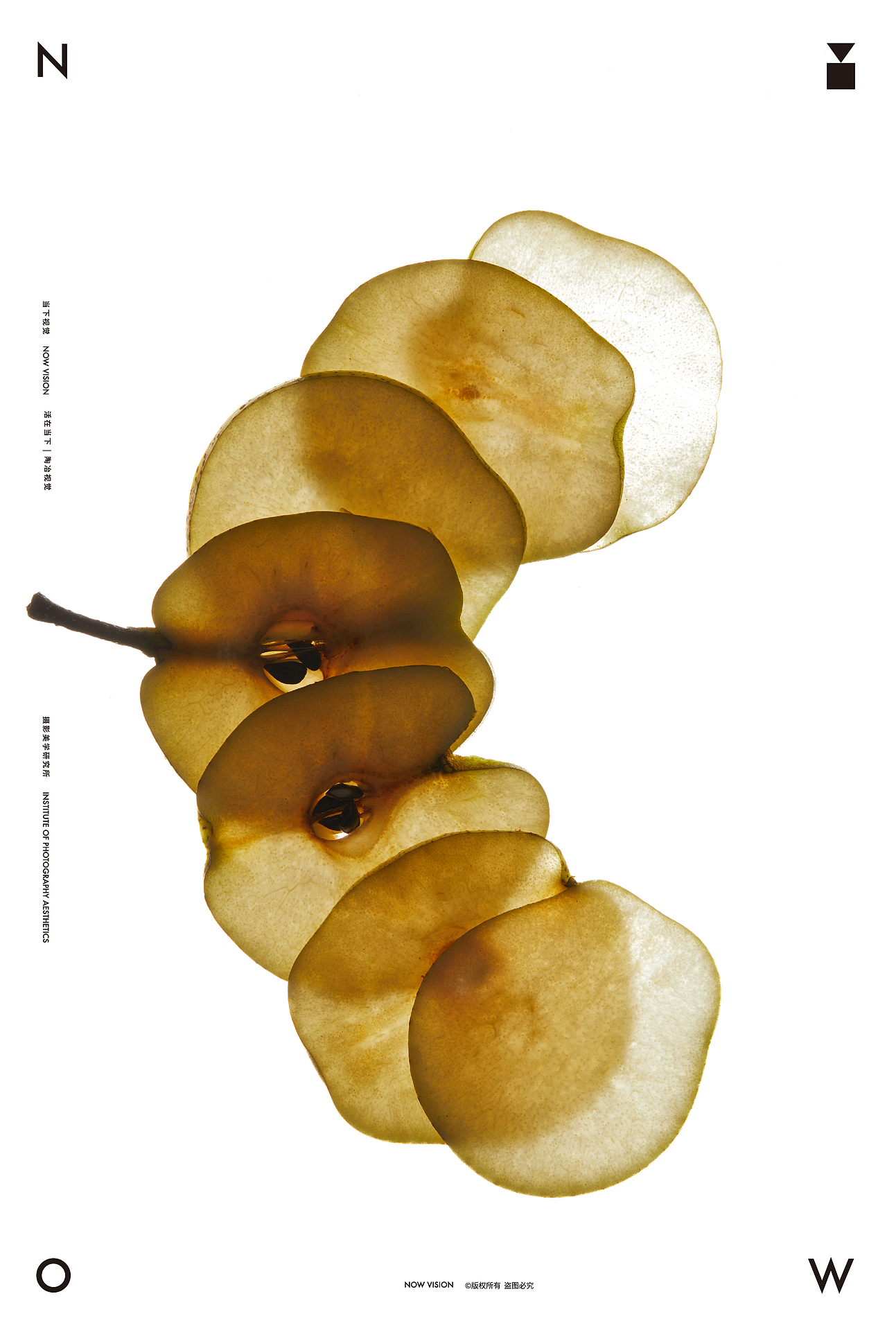 自然造物 解剖美学