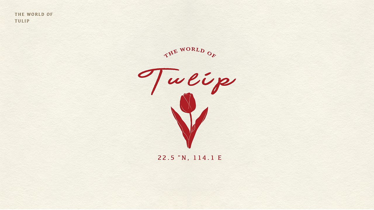 The world of 「TULIP」