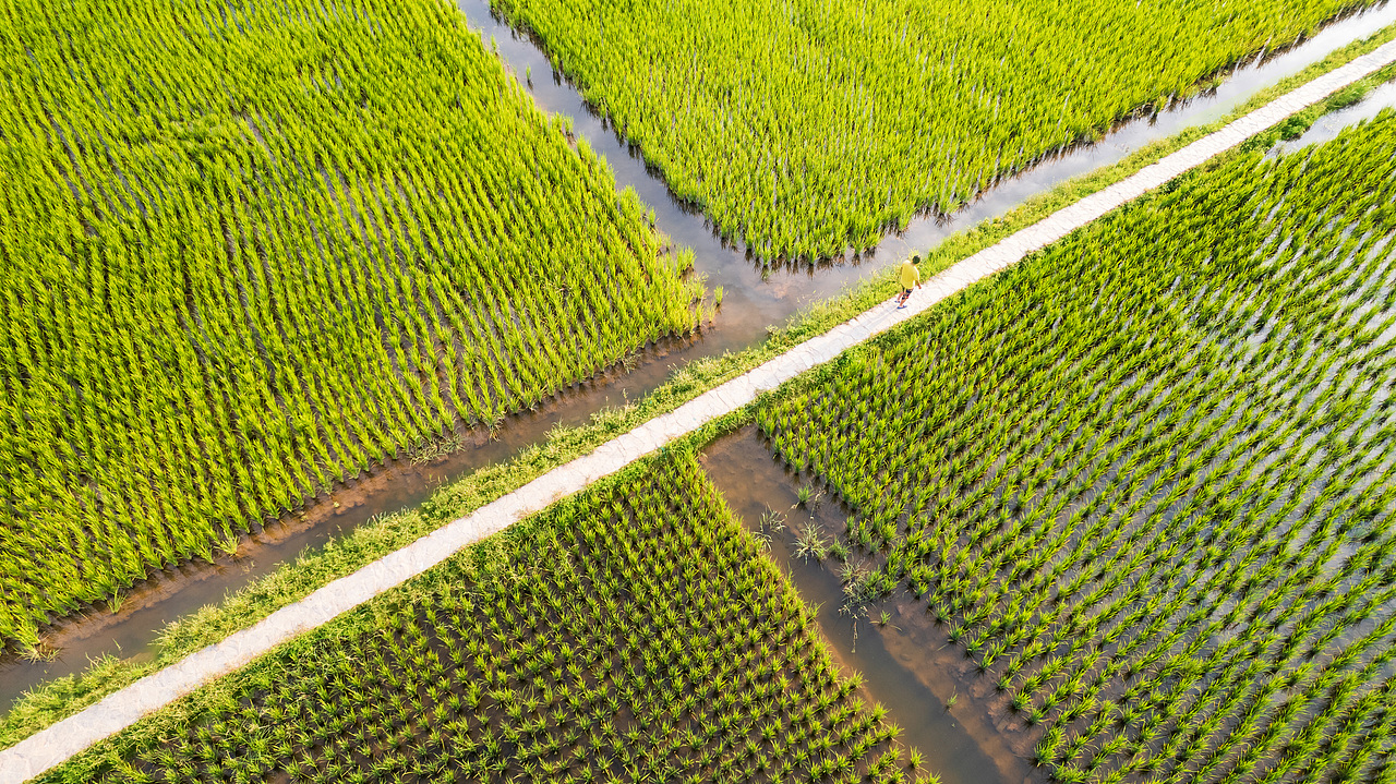 西安市长安公园稻香园 | 景观摄影
