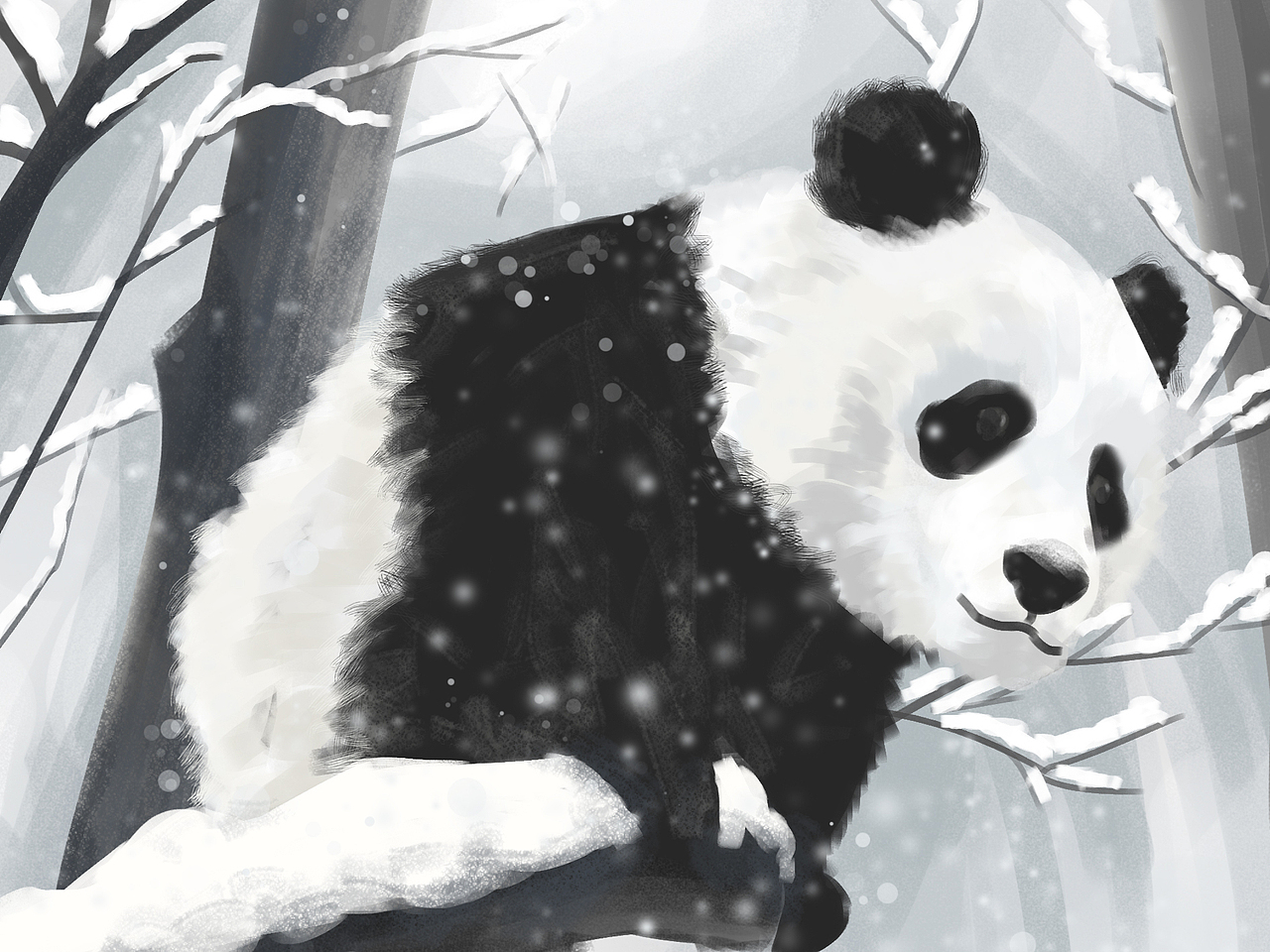 【冬日插画挑战】06-大熊猫
