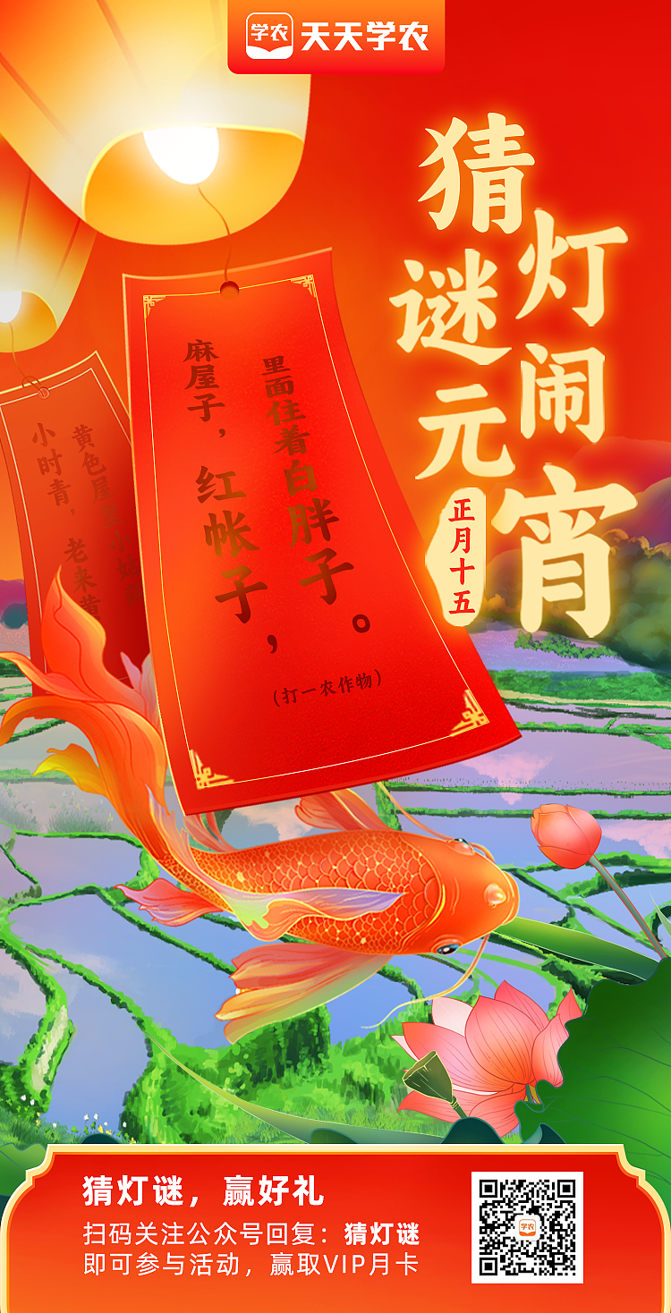 2023新年系列海报