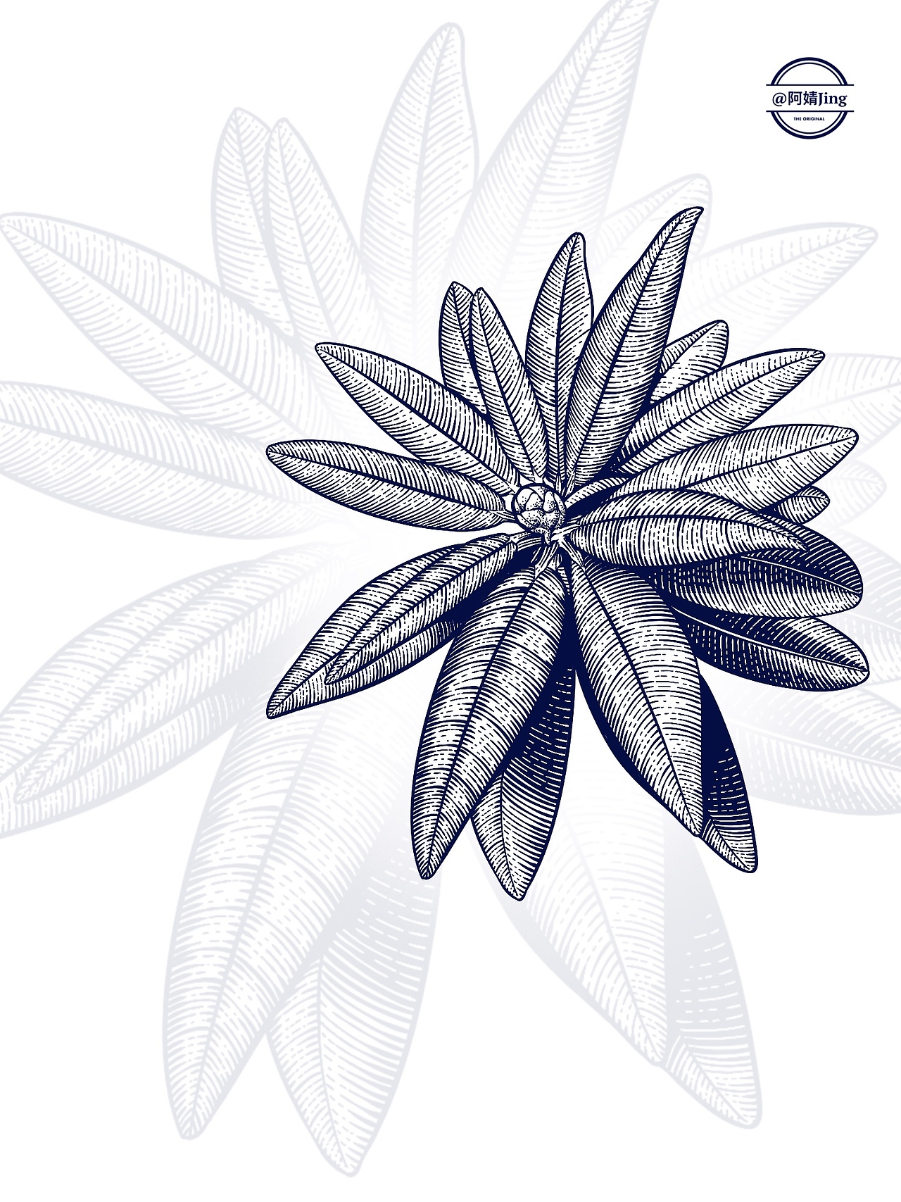 阿婧Jing | 2023年插画合集