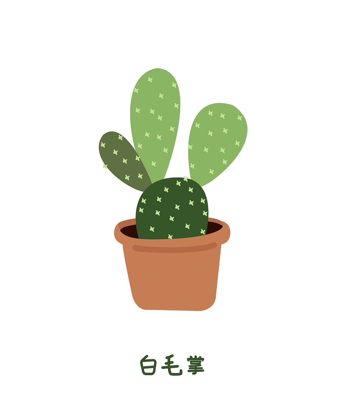 插画习作 | 仙人掌