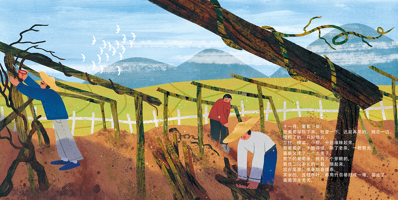 绘本《葡萄月令》（图ZMzY0MDA3MjMy） - 绘本 - 站酷设计师蔚蓝Lann原创素材 - 站酷ZCOOL