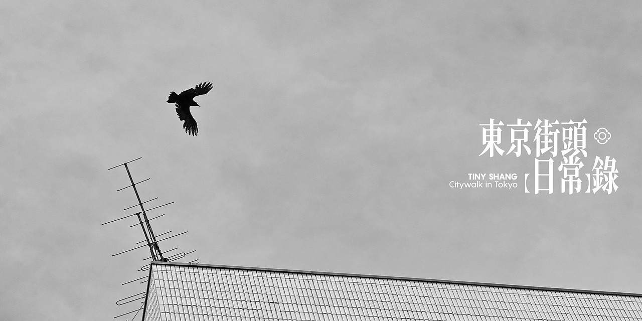 手机摄影 I 小米14Ultra I 东京街头物语