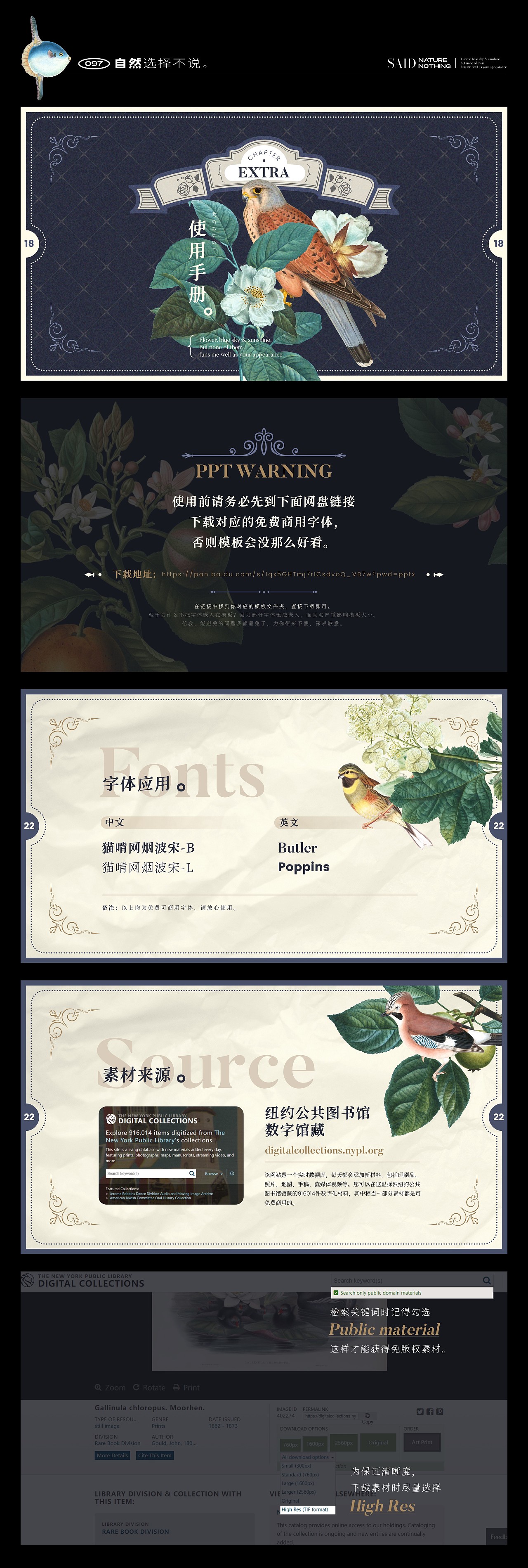 【自然选择不说】复古自然插画主题PPT模板（图ZMzE1MzQ5MjA0） - PPT/Keynote - 站酷设计师凉了药原创素材 - 站酷ZCOOL