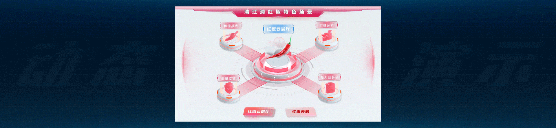 2022年部分数据可视化项目