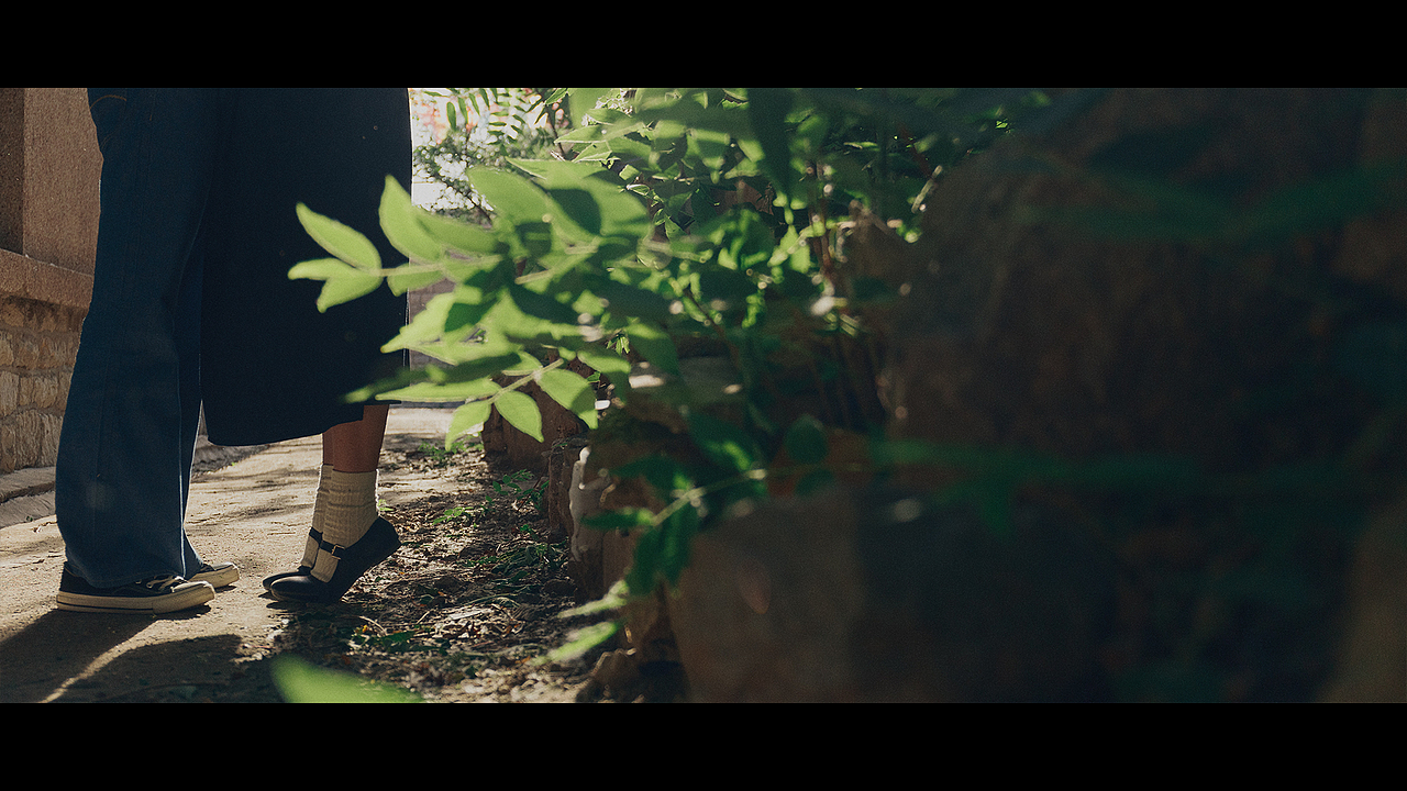 春风十里燕双飞