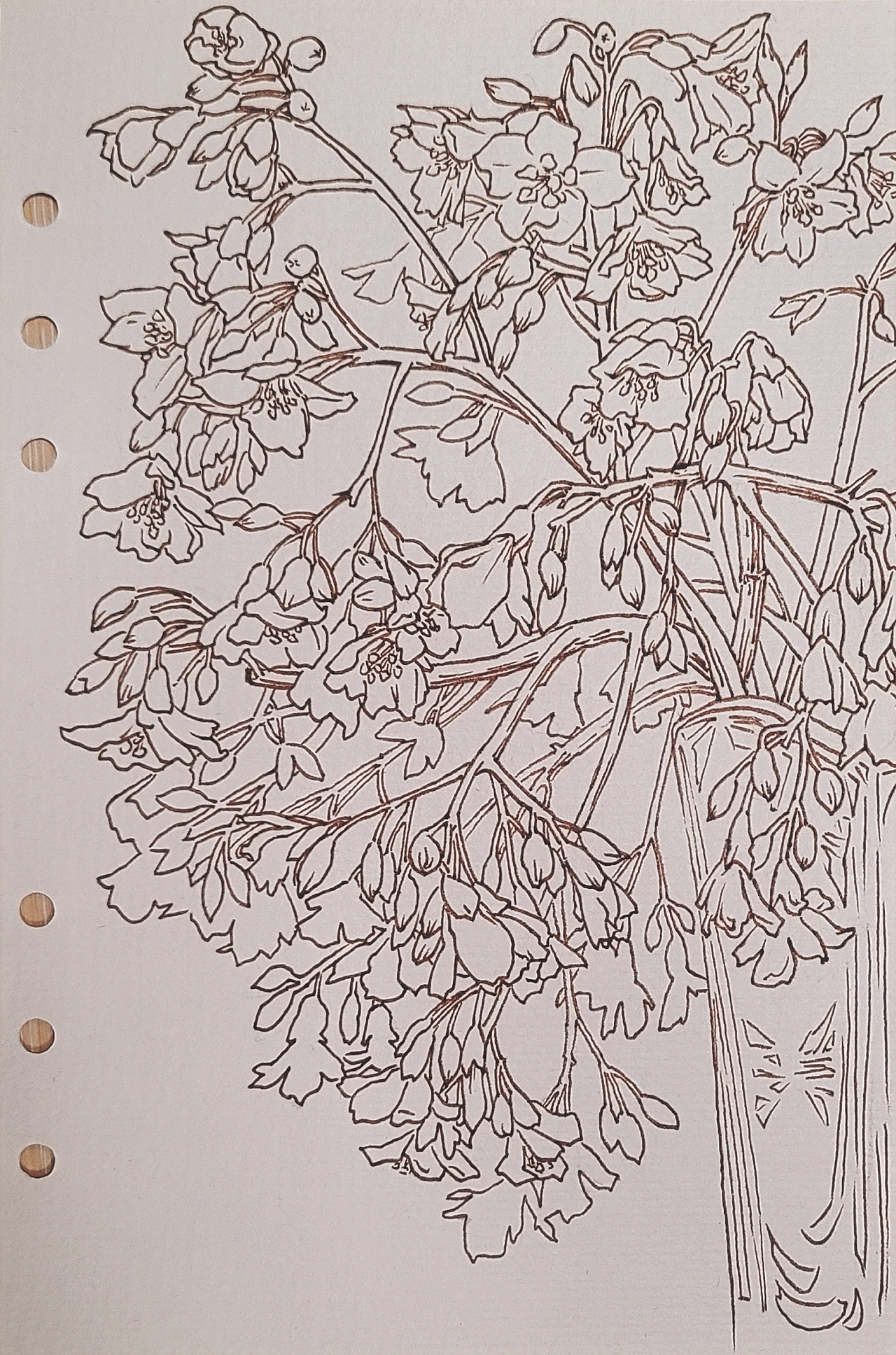 针管笔画（植物）（图ZMzI1MDk1MTA4） - 绘画 - 站酷设计师恒峰峰峰原创素材 - 站酷ZCOOL