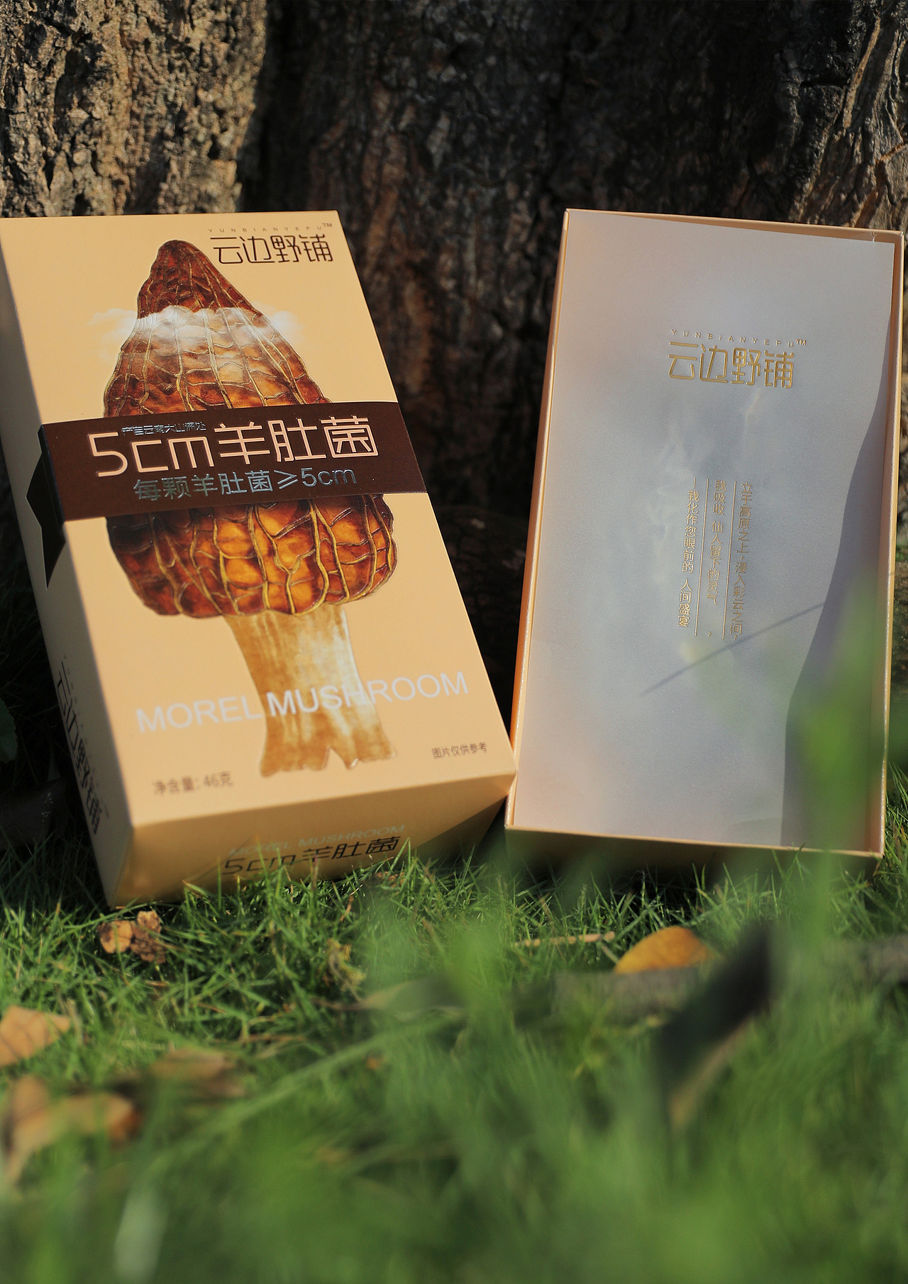 云边野铺羊肚菌包装设计