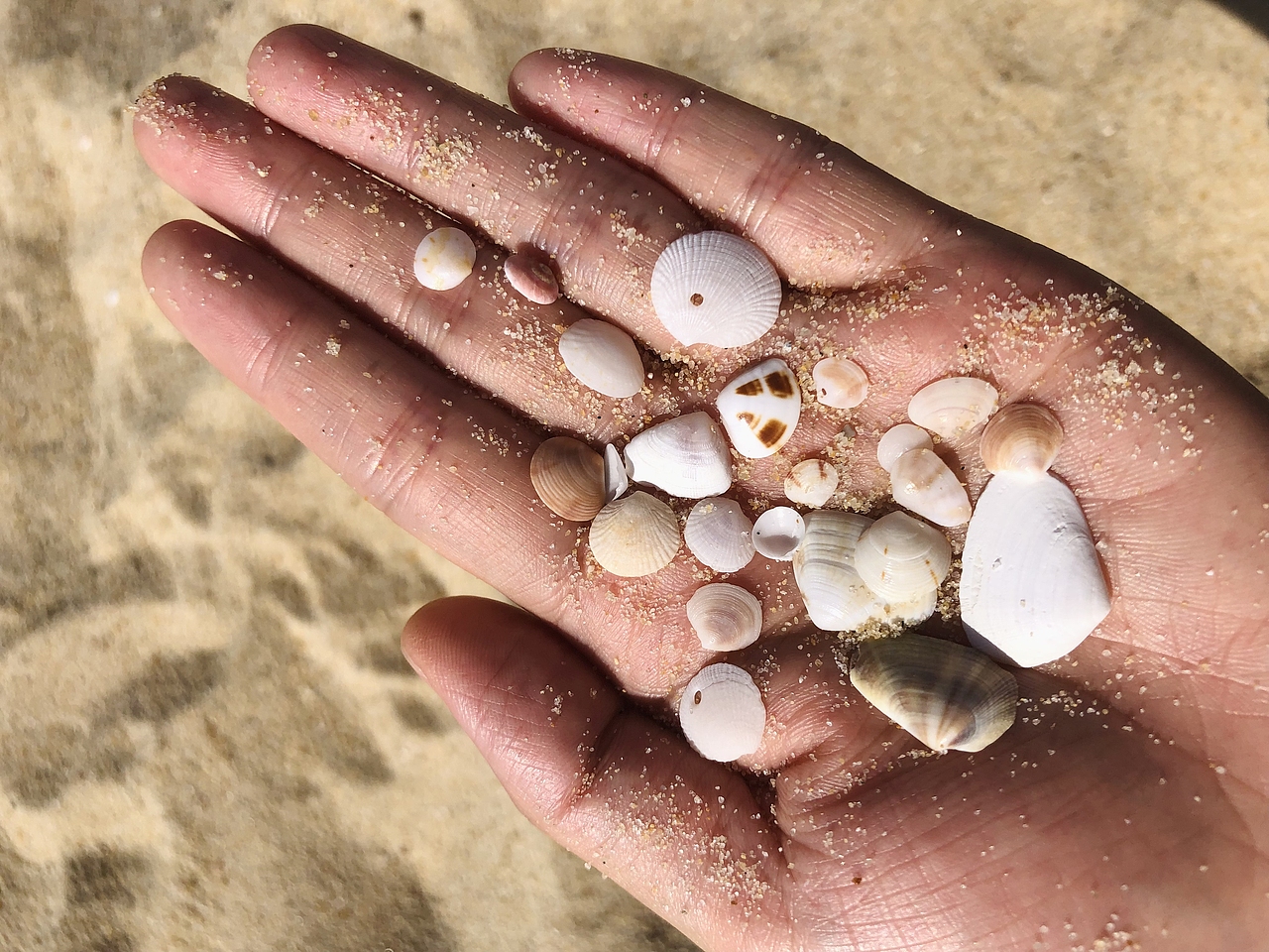 2022年4月9日-大梅沙