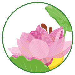 油爆叽丁二十四节气表情