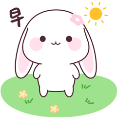 微信表情/宇宙最萌甜兔酱第八弹表情包 谁还没有用我呢