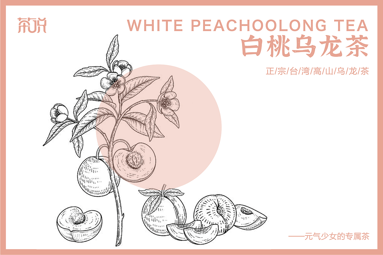 茶说|包装设计提案