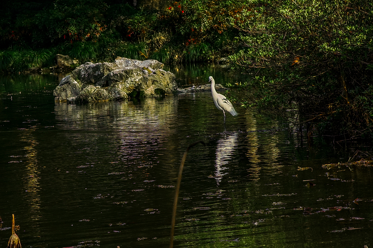 城市风貌系列6（图ZMzYzMTQ2MTQw） - 风光摄影 - 站酷设计师莫潘原创素材 - 站酷ZCOOL