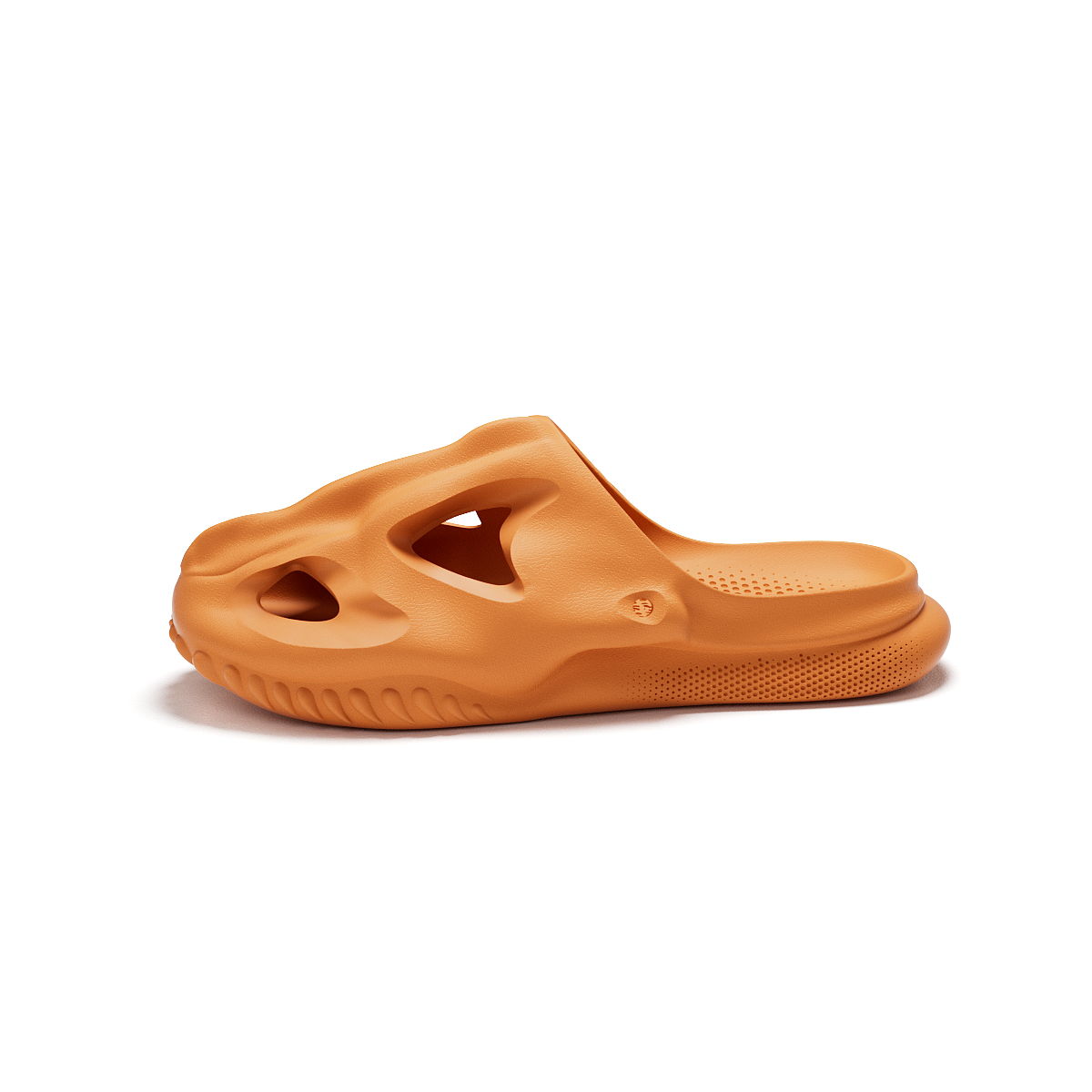 Fossil化石系列（图ZMzYzOTM2Mjcy） - 产品 - 站酷设计师Fc_Edward原创素材 - 站酷ZCOOL