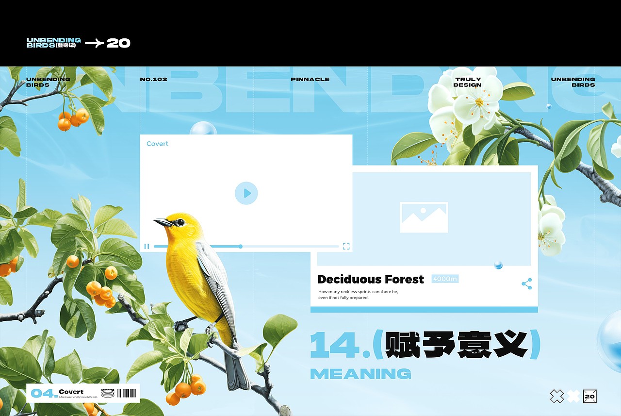 【登寒记】倔强的雀鸟——PPT设计(图ZMzU4OTA1NTg0) - PPT/Keynote - 站酷设计师凉了药原创素材 - 站酷ZCOOL