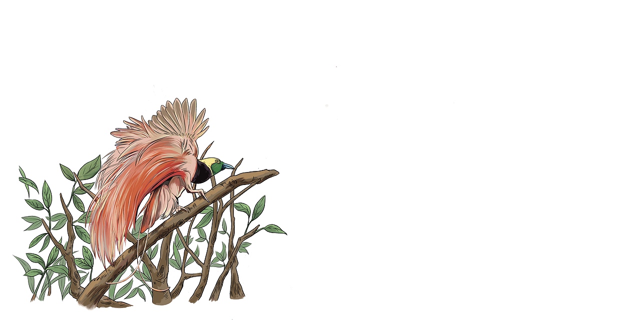 《大洋洲的神奇动物》绘本