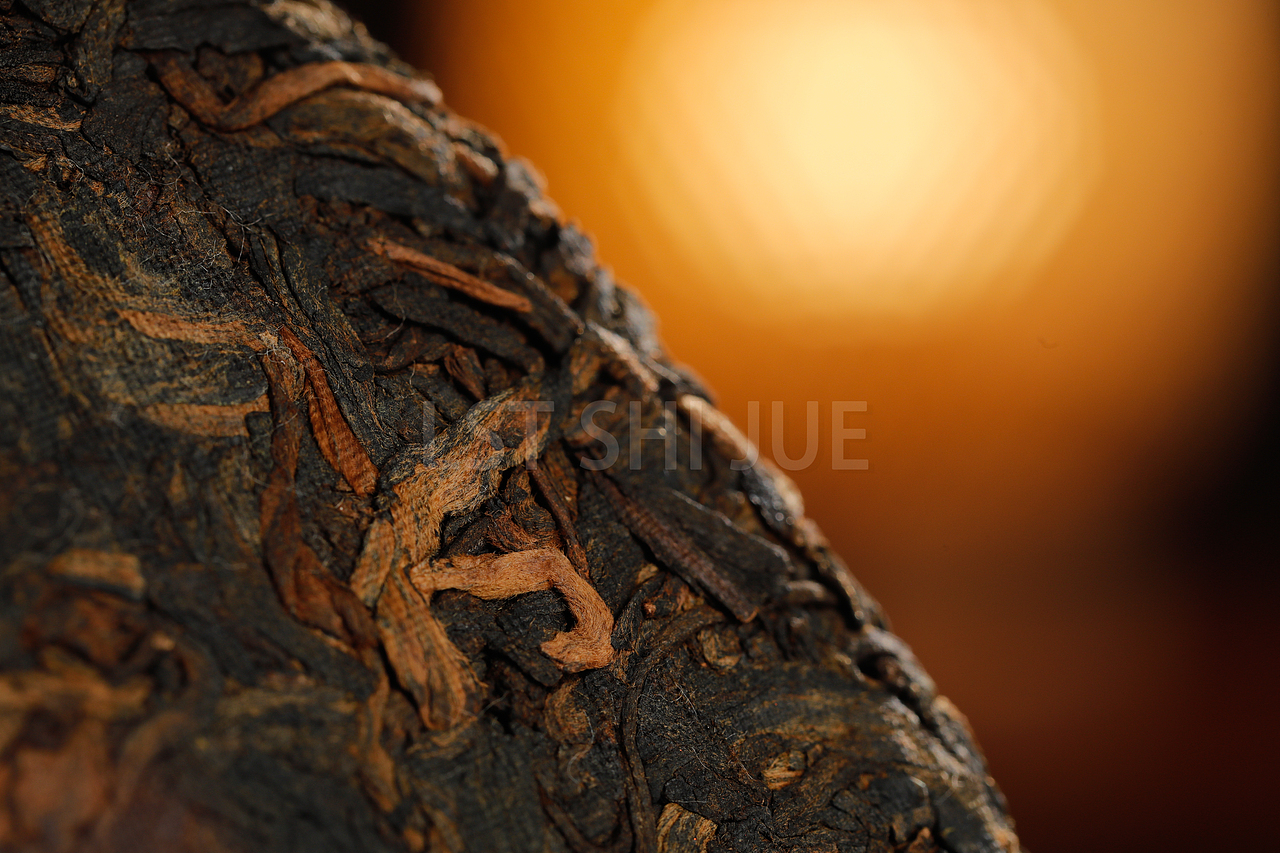 2023 12月普洱茶拍摄 《国粹》