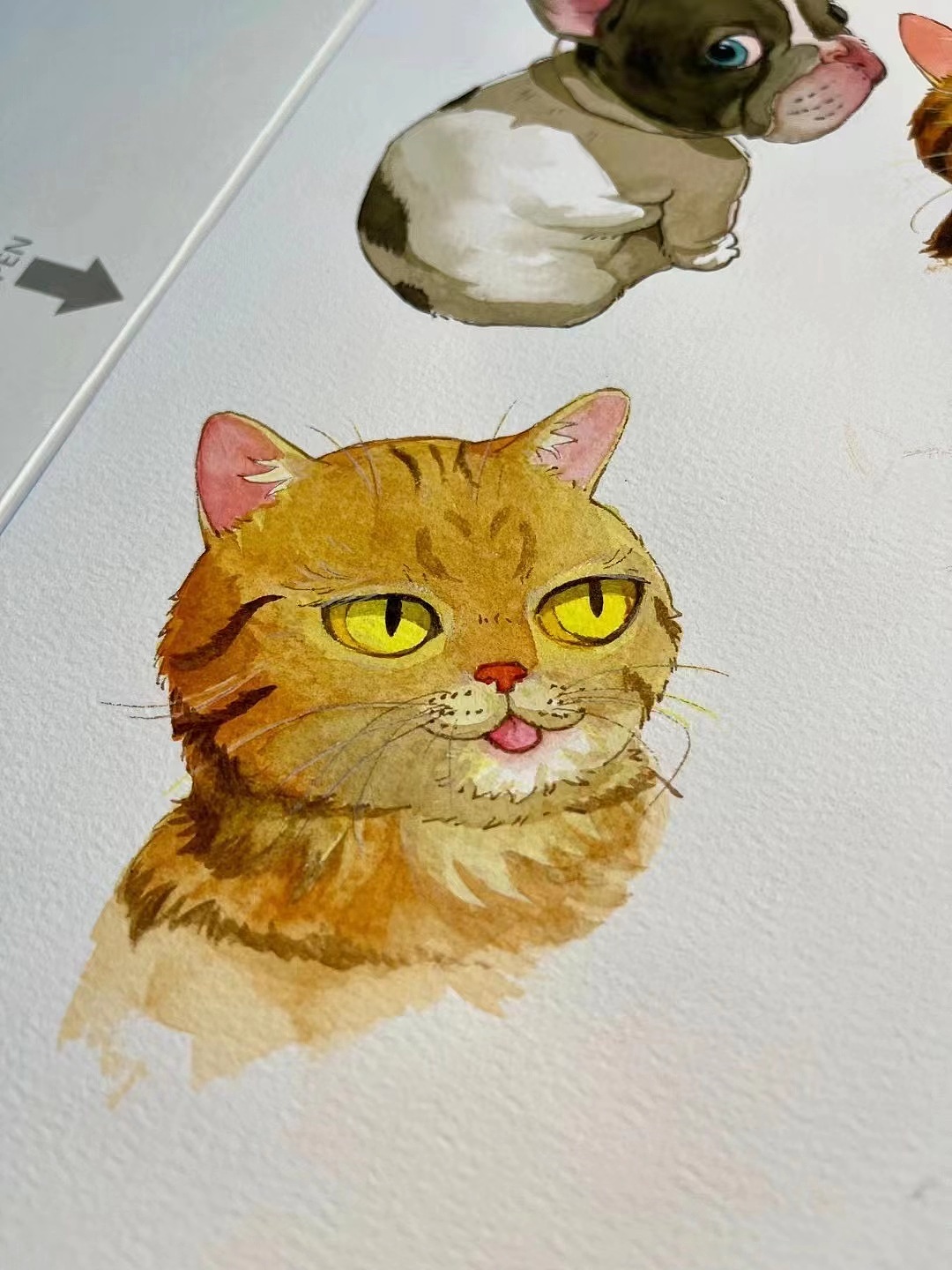 法猪和喵桑（图ZMzAxNTIyNDEy） - 创作习作 - 站酷设计师俊哥的图原创素材 - 站酷ZCOOL