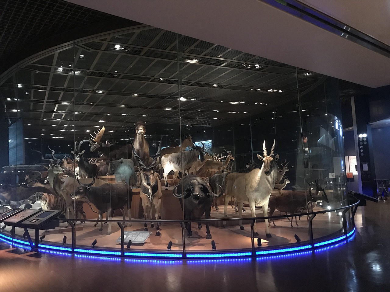 东京国立科学博物馆（图ZMzA5OTUxMzMy） - 展陈设计 - 站酷设计师JIANG2015原创素材 - 站酷ZCOOL