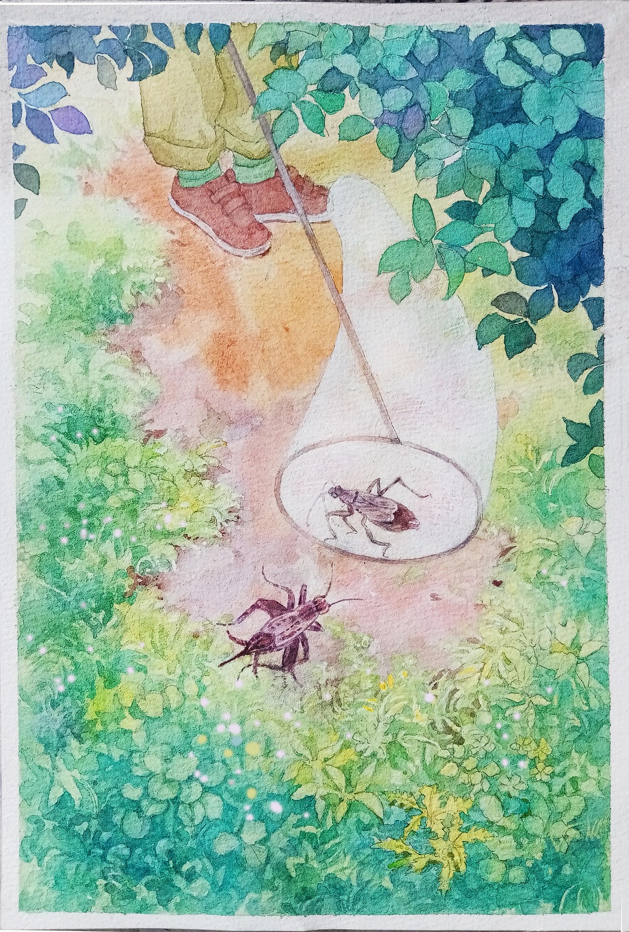 秋天的野外采集（图ZMzIzNzgxNzE2） - 儿童插画 - 站酷设计师冉小稳原创素材 - 站酷ZCOOL