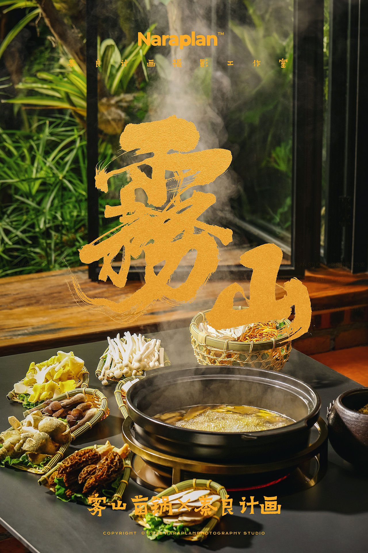 雾山菌锅×萘良美食摄影 | 松茸菌菇火锅美食造景