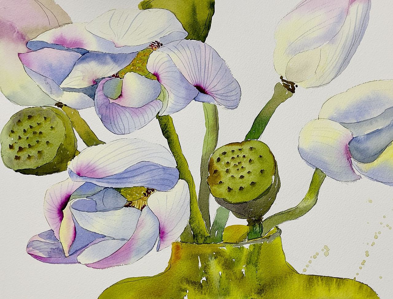 夏天的写生作品（图ZMzE2MDYzNTE2） - 绘画 - 站酷设计师八爪猫一苗露原创素材 - 站酷ZCOOL