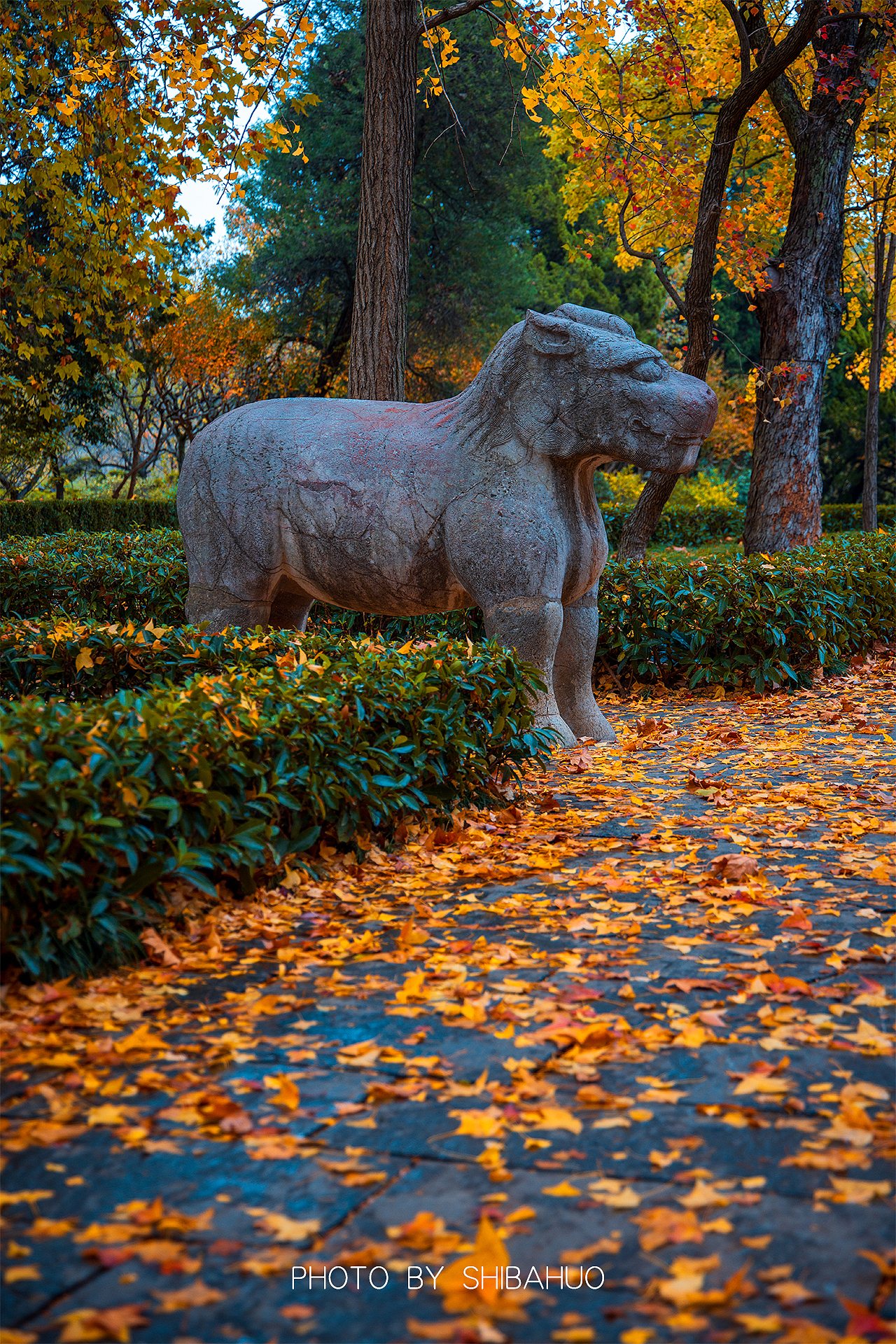 秋染石象路（图ZMzIxNDI1MjQ0） - 风光摄影 - 站酷设计师十把火原创素材 - 站酷ZCOOL