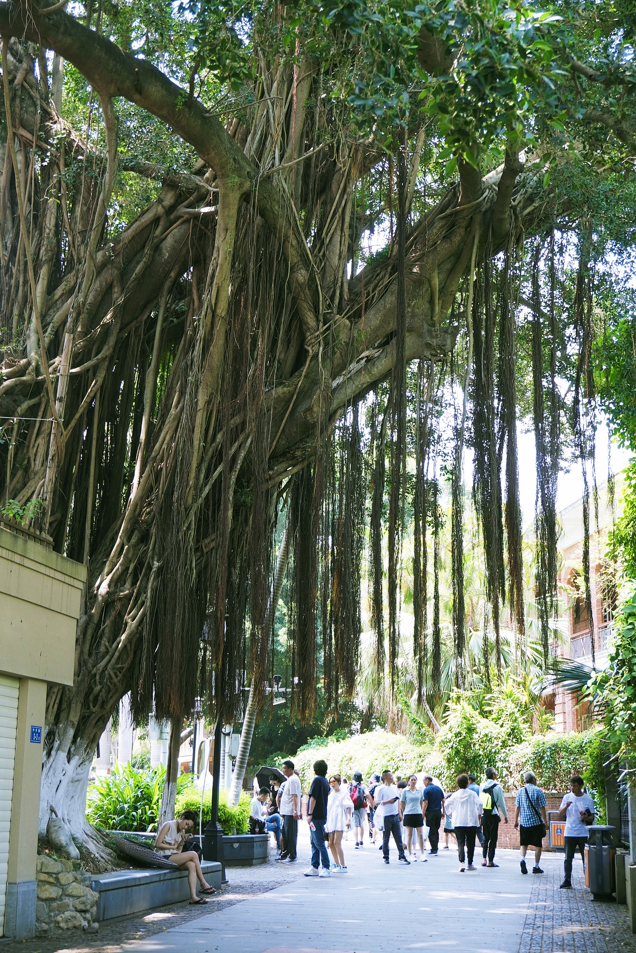 鼓浪屿（图ZMzQ2Mjg0NjAw） - 人文/纪实摄影 - 站酷设计师Kathmandu09原创素材 - 站酷ZCOOL