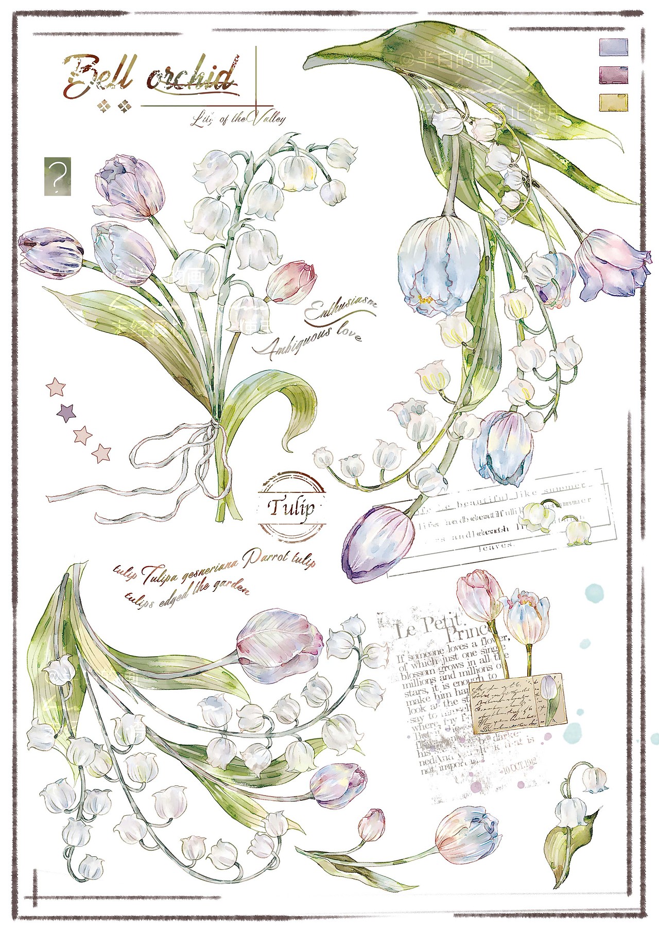 植物花卉图鉴插画