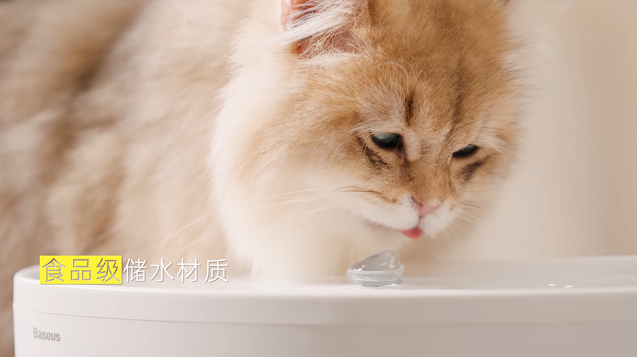 倍思 Lotis Y1 智能宠物饮水机