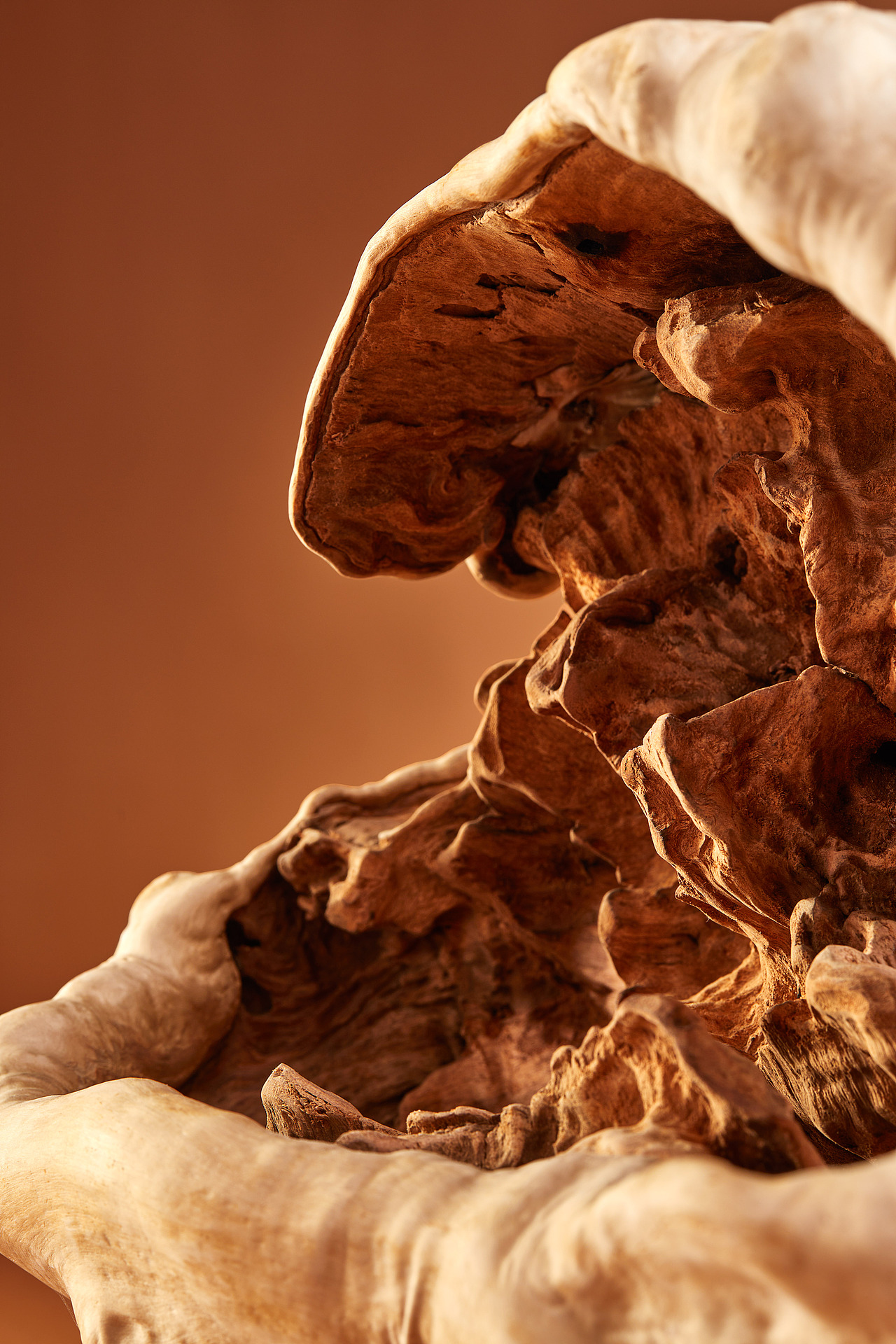 叶锡堂先生根雕艺术品（一）❌ 铁皮鼓（图ZMzUxNjU4MjQw） - 产品摄影 - 站酷设计师铁皮鼓文化原创素材 - 站酷ZCOOL