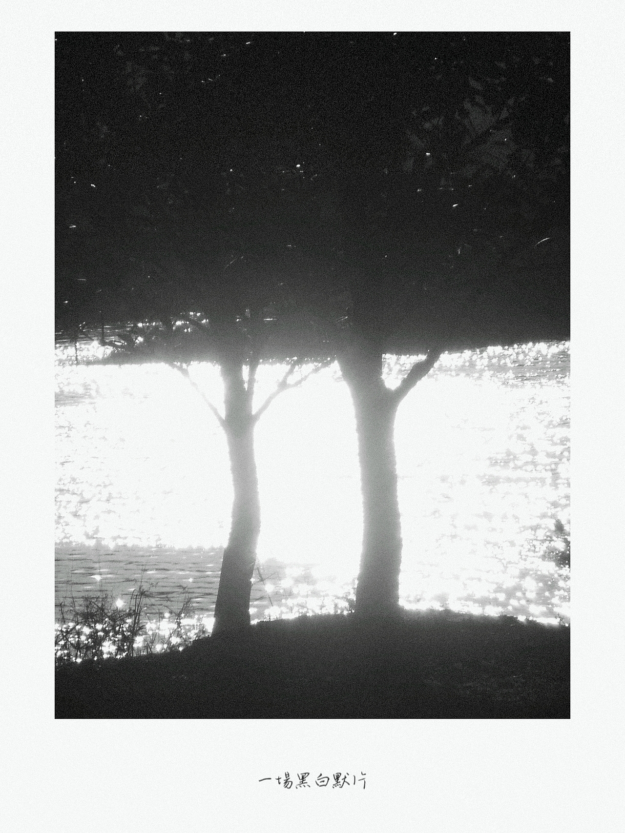 2022最後一場黑白默片