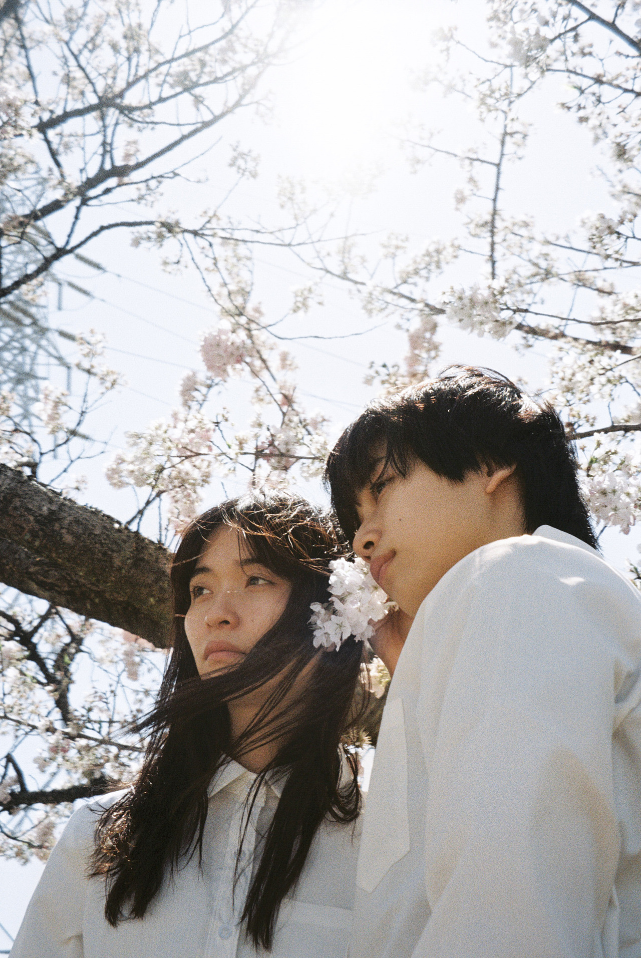 飘落间（图ZMzY4MjY5MDYw） - 人像摄影 - 站酷设计师NiccoCai原创素材 - 站酷ZCOOL