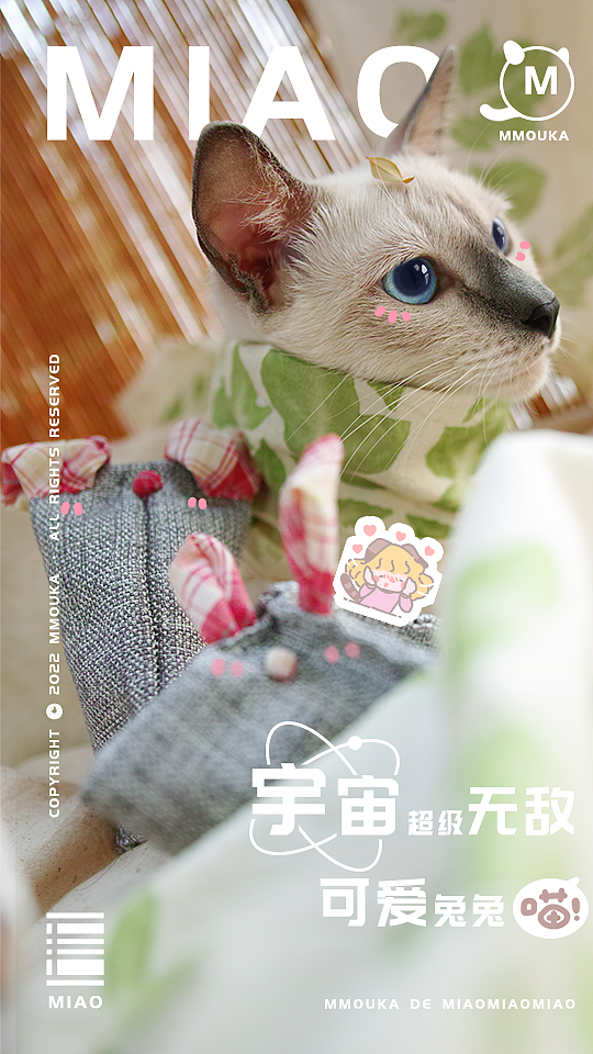 【茉茉卡家的喵喵喵】喵喵喵的专属杂志封面
